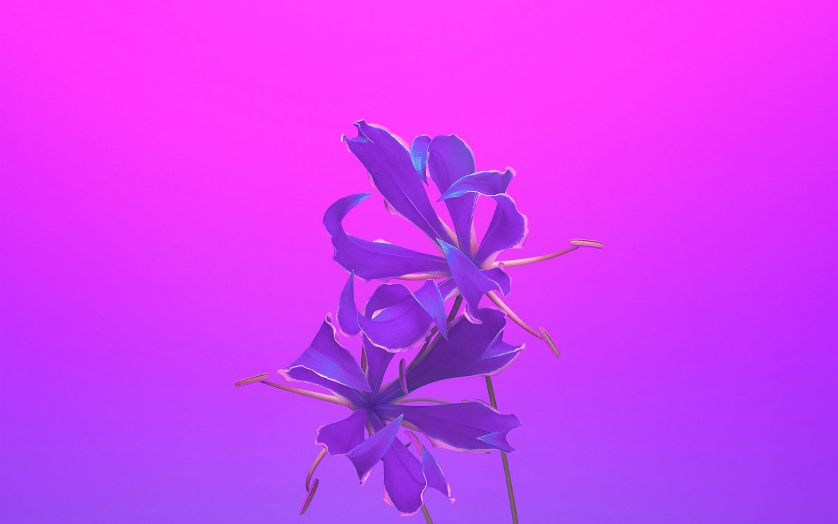 Фиолетовые обои Минимализм