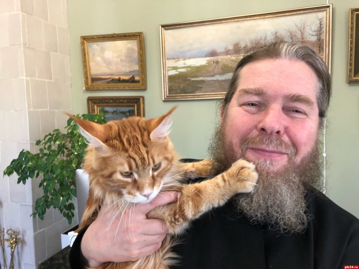 Кот Тихона Шевкунова