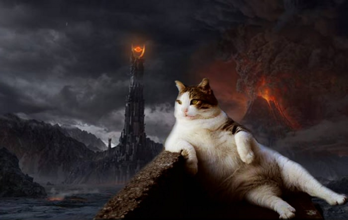 Дом отца Тихона Шевкунова и его кота владыки в Пскове