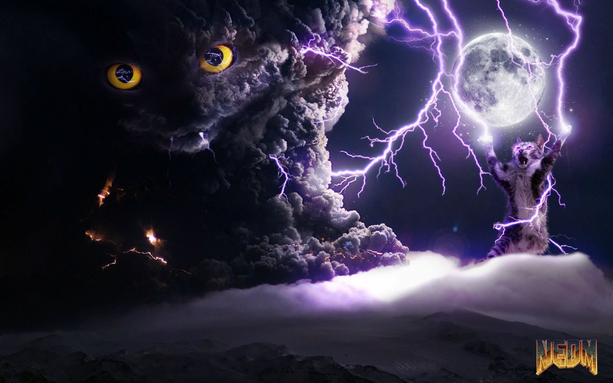 Кот Паладин