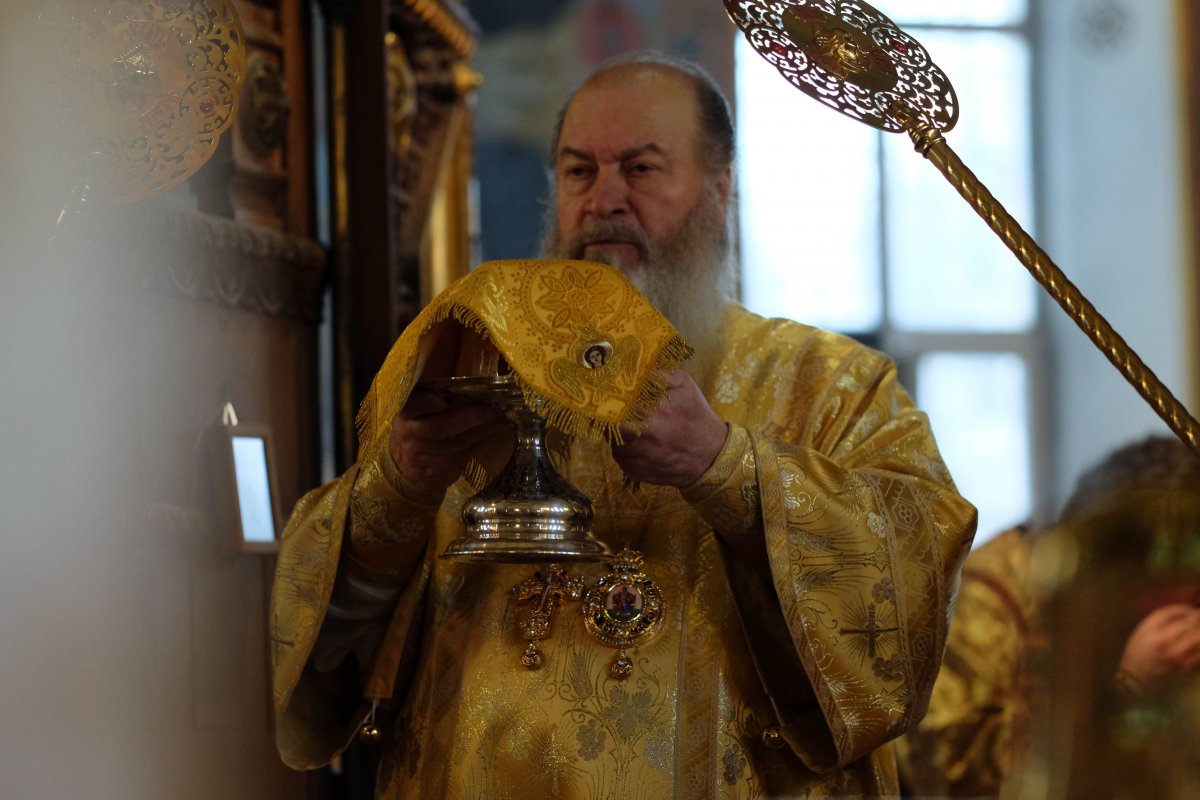 Трон для кота игра престолов