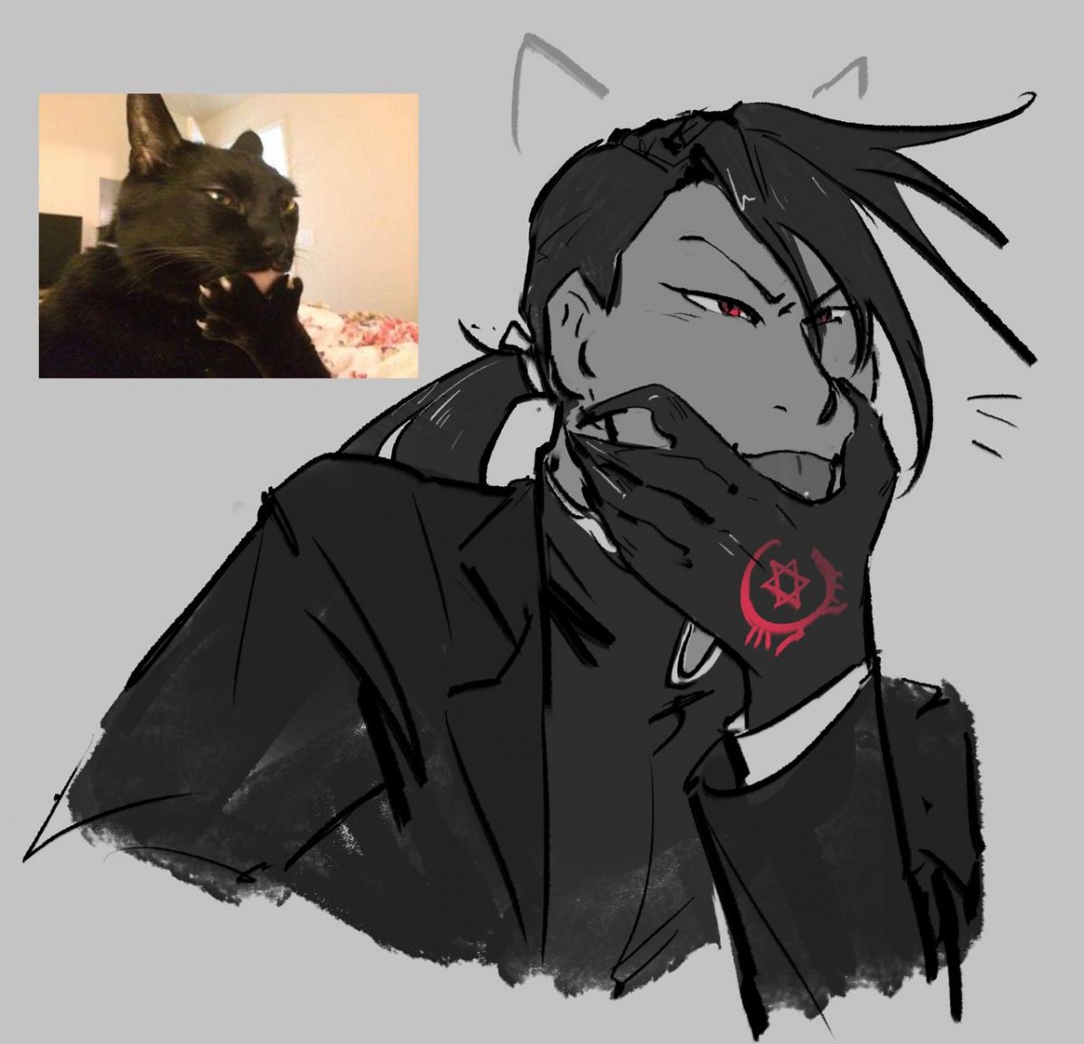 Кот Император