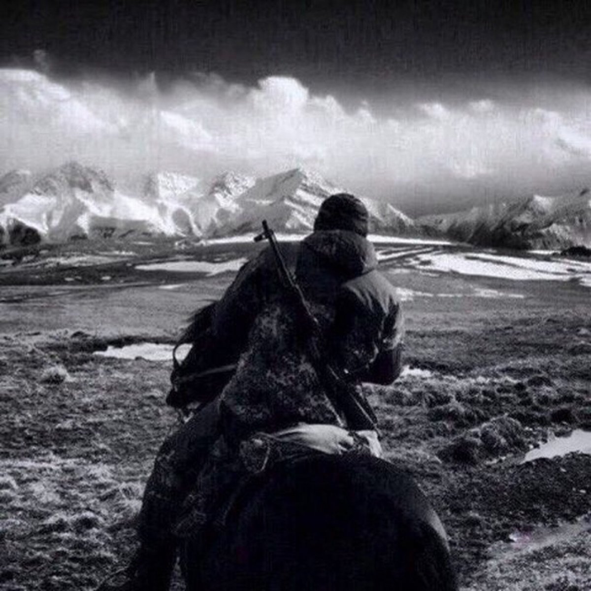 Адыги шапсуги