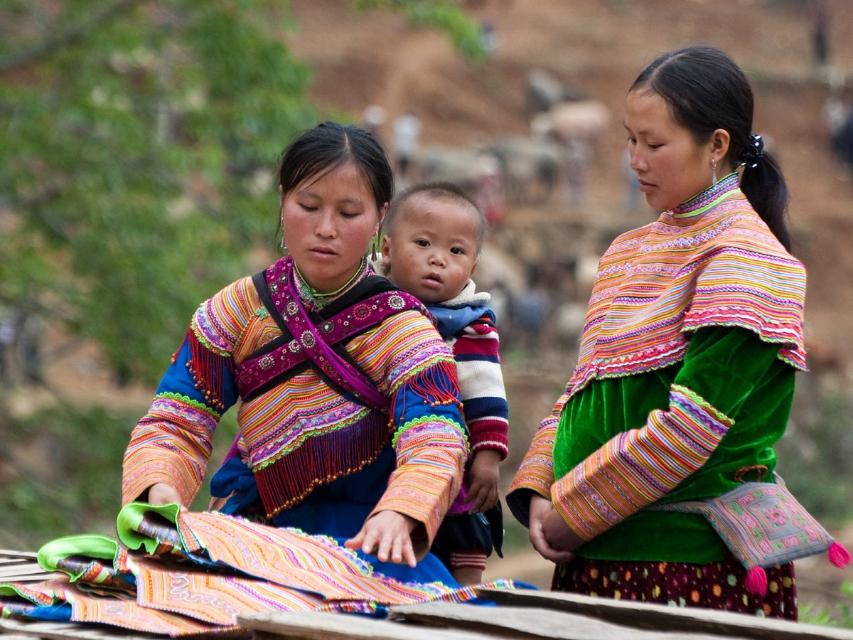 Тайский риджбек собака