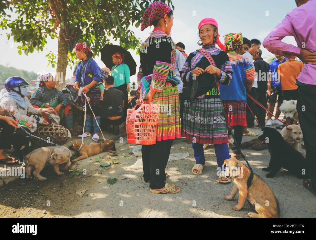 Кавказский мастиф