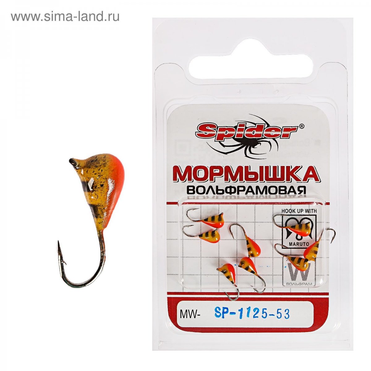 Паук сольпуга верблюжий паук