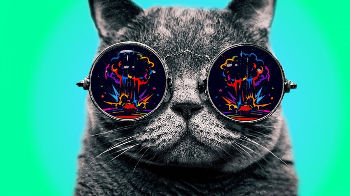 Смешные коты в очках