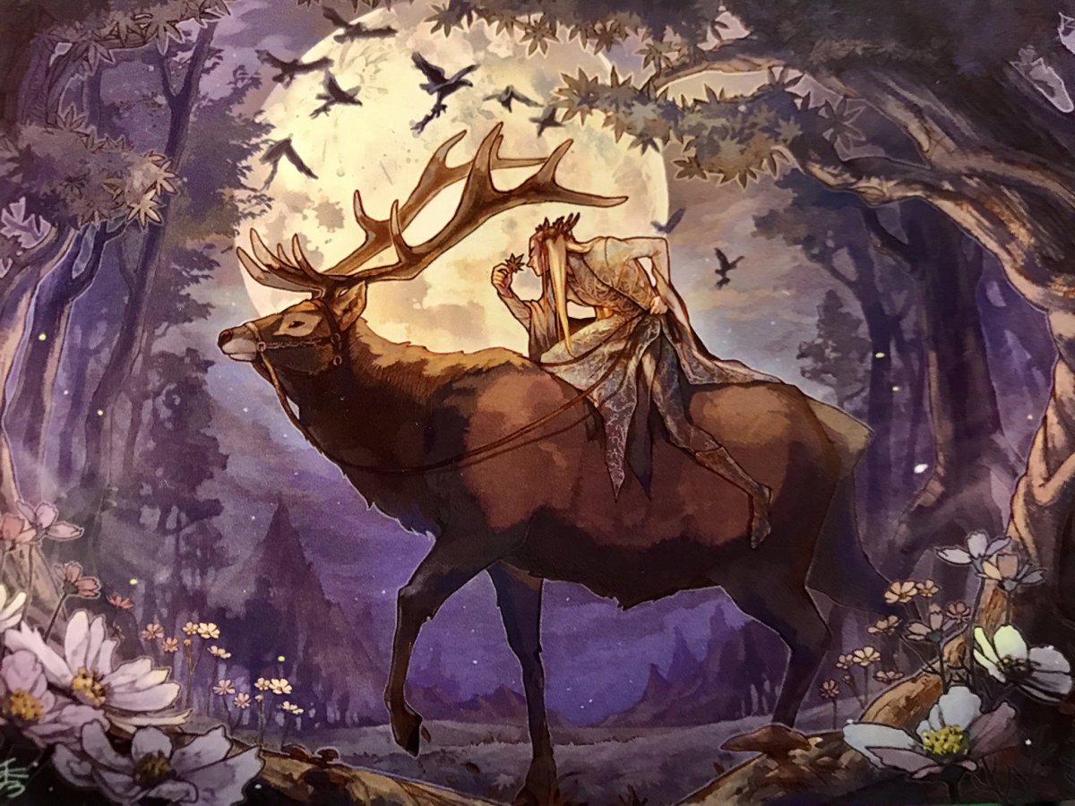 Канадский Лось альбинос