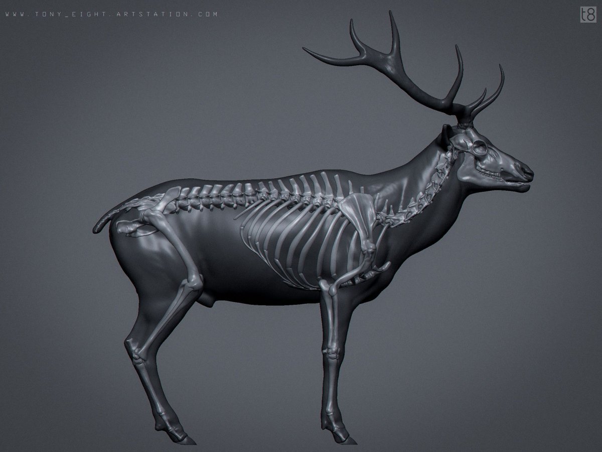 Таксидермия Лось