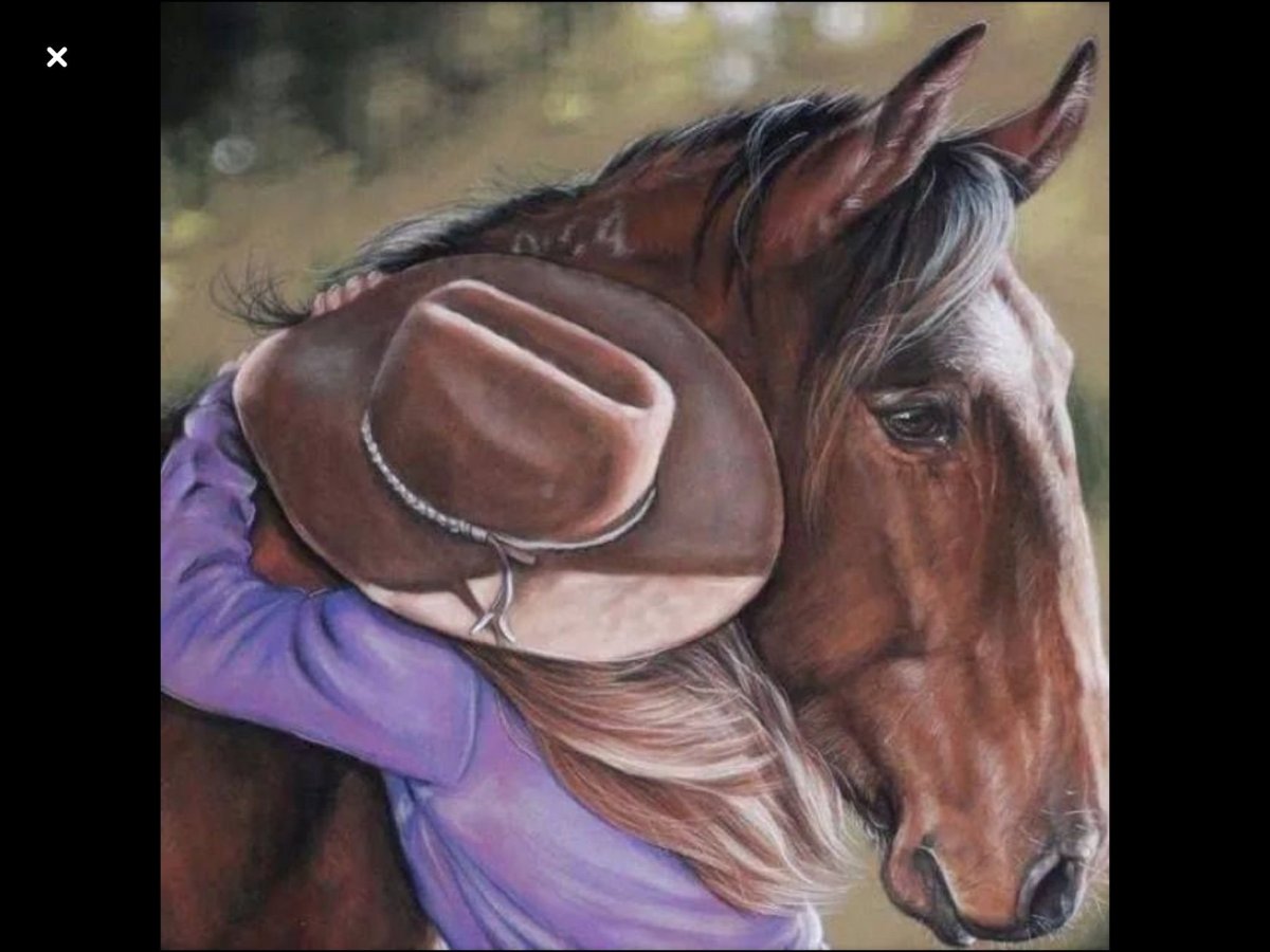 Девушка на лошади арт