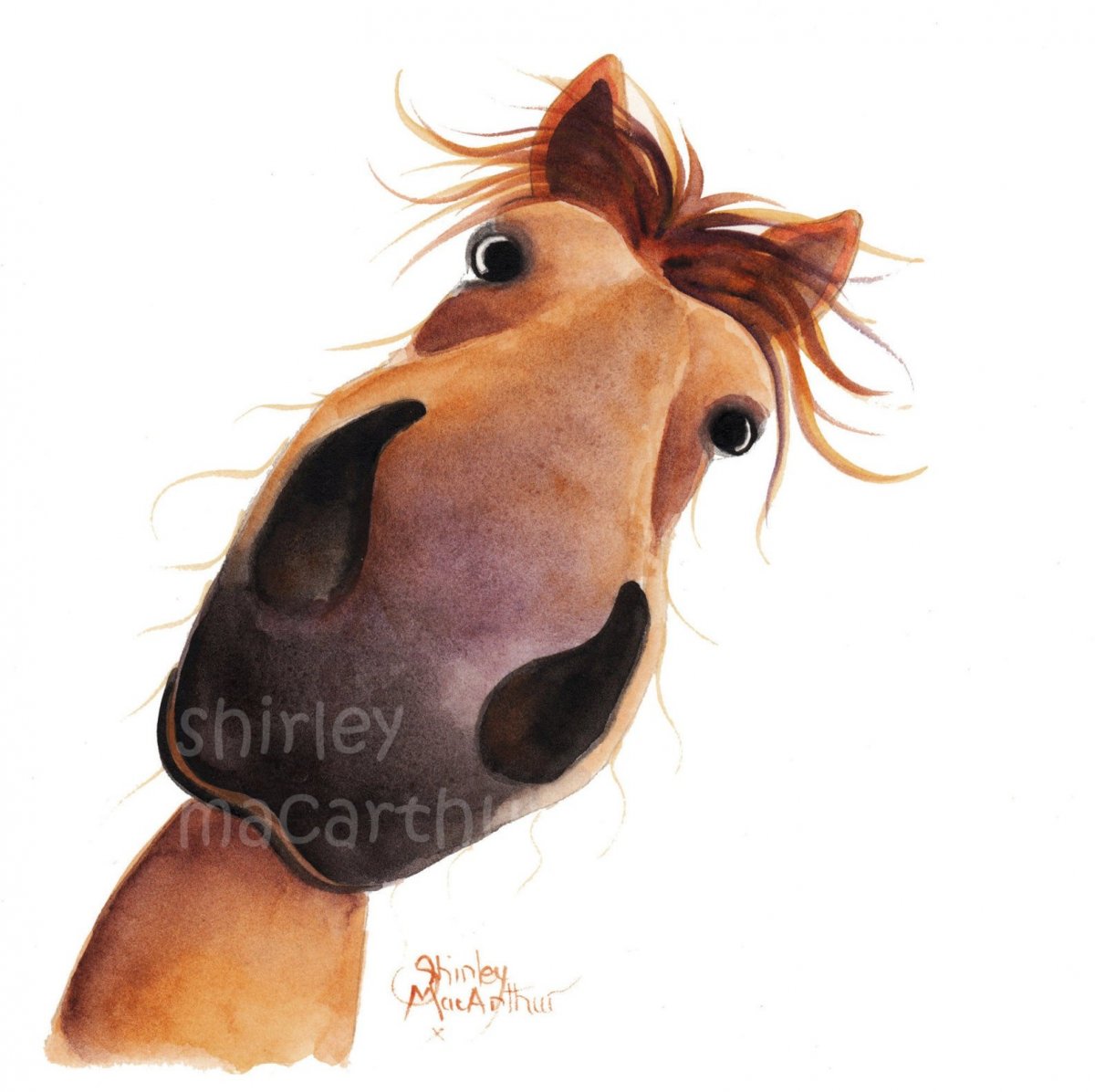 Забавная лошадь рисунок