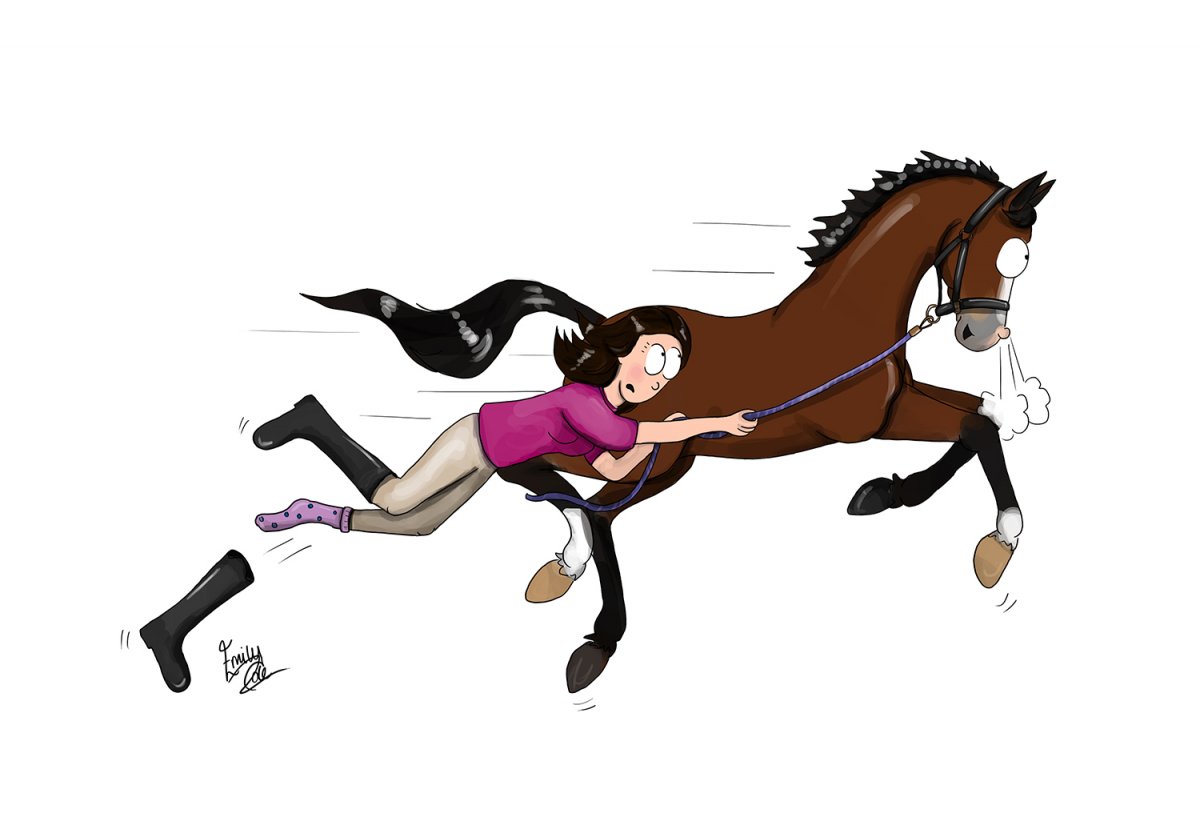 Смешные рисунки всадника на лошади