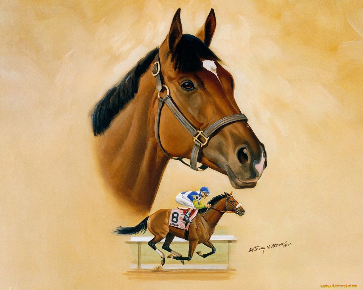 Смешные рисунки лошадей