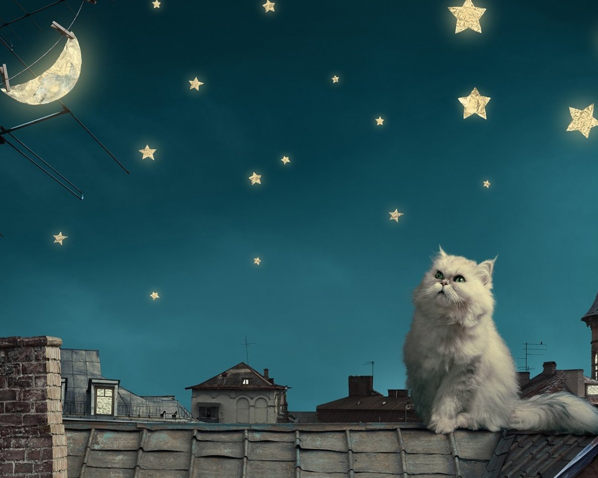 Крыша из игры