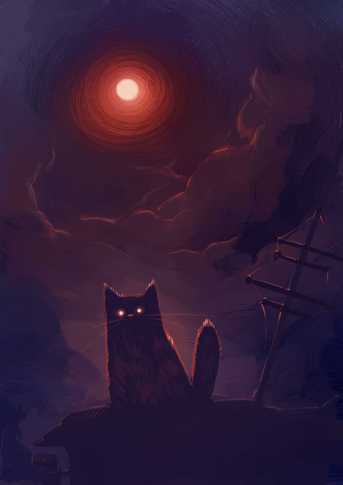 Черный кот на крыше