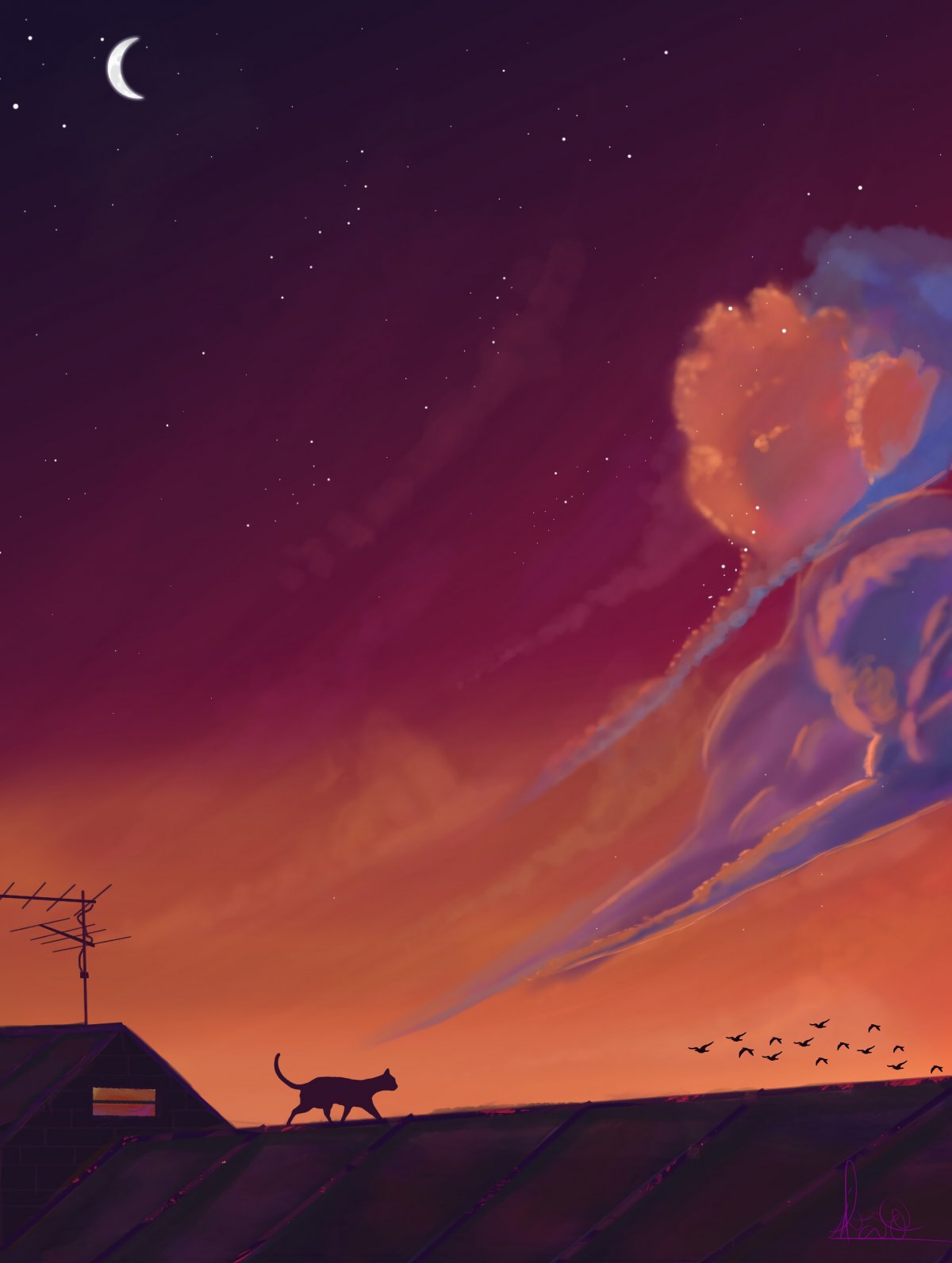 Кошка спит на крыше