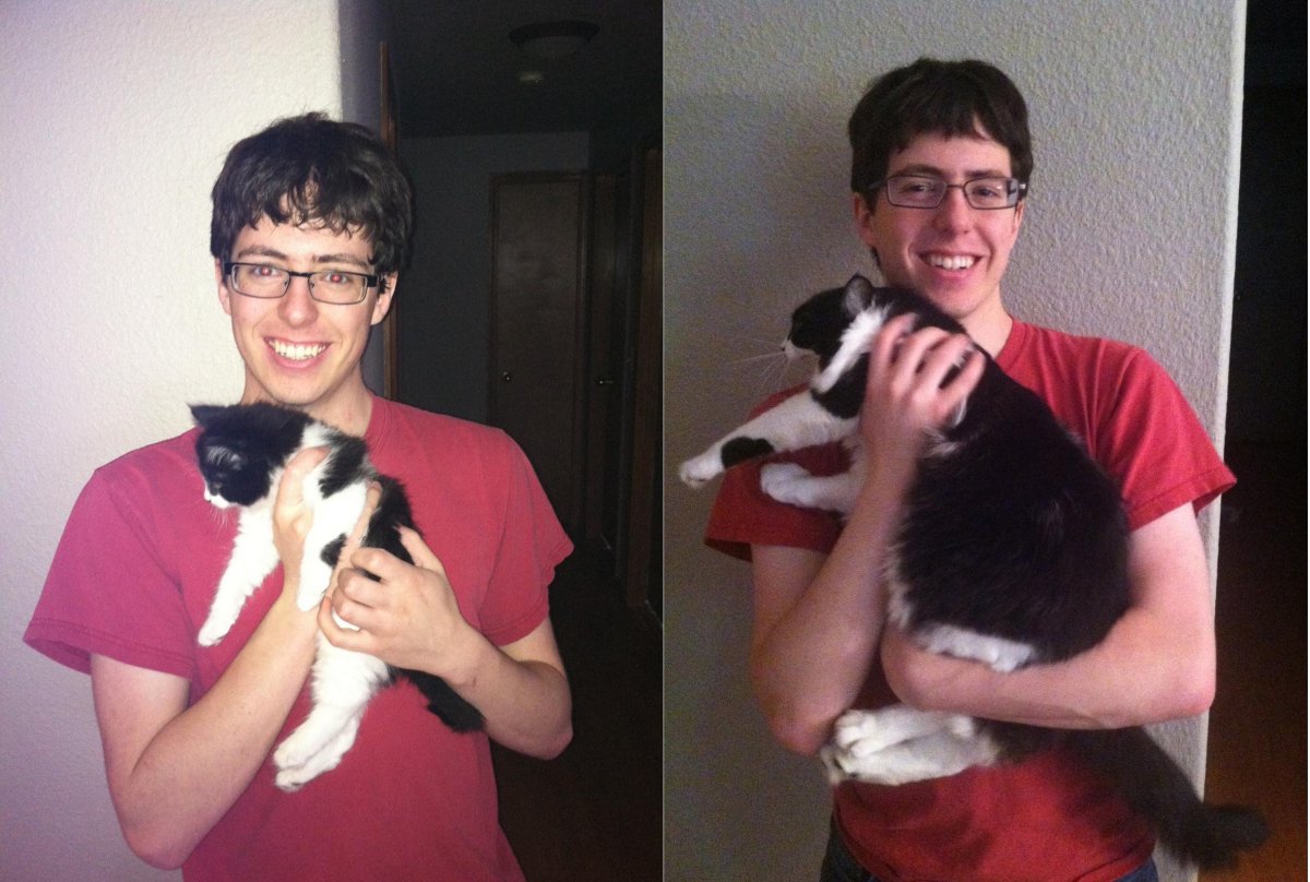 Котята до и после