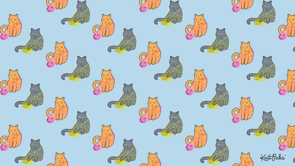 Can one Bath not vaccinated Cat