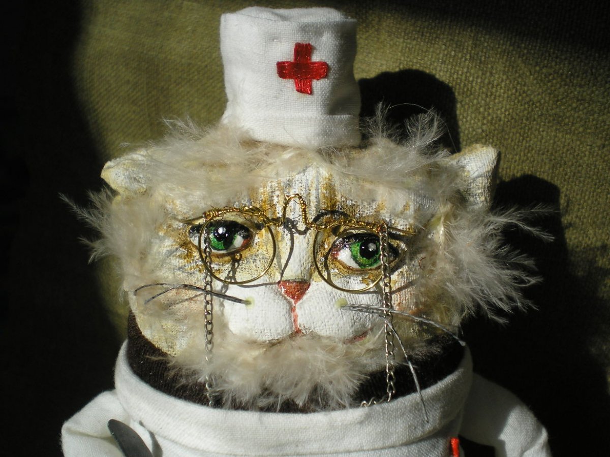 Кот врач