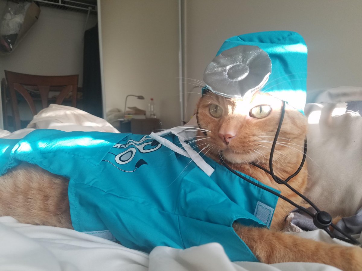 Зоосфера ветеринарная клиника