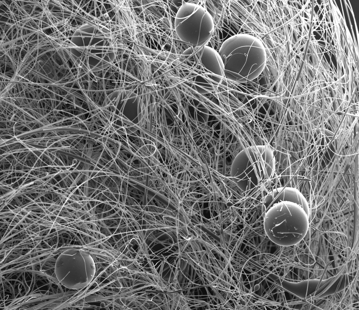 Микроскоп under Microscope