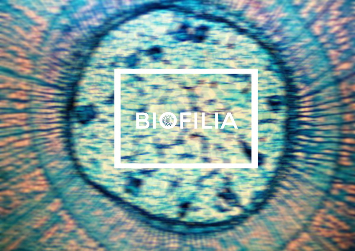 Муравей через электронный микроскоп