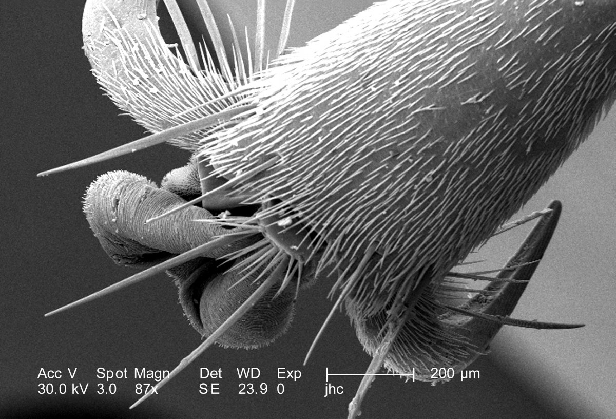 Пластмасса под микроскопом
