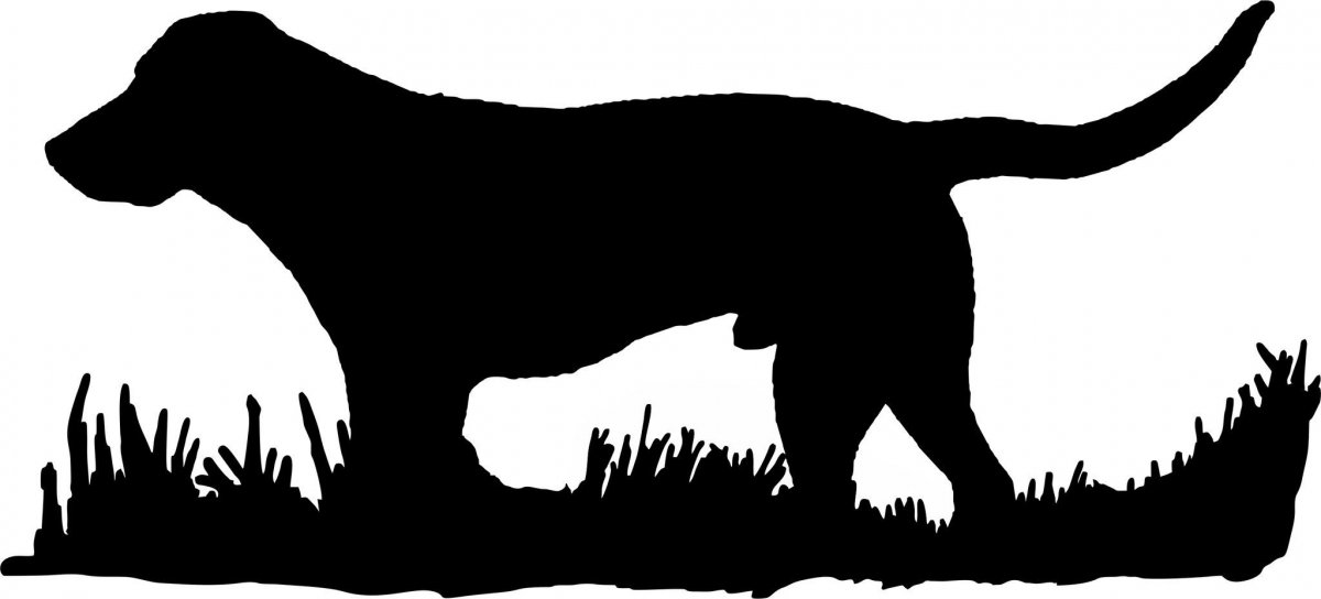 Охотник с собакой вектор