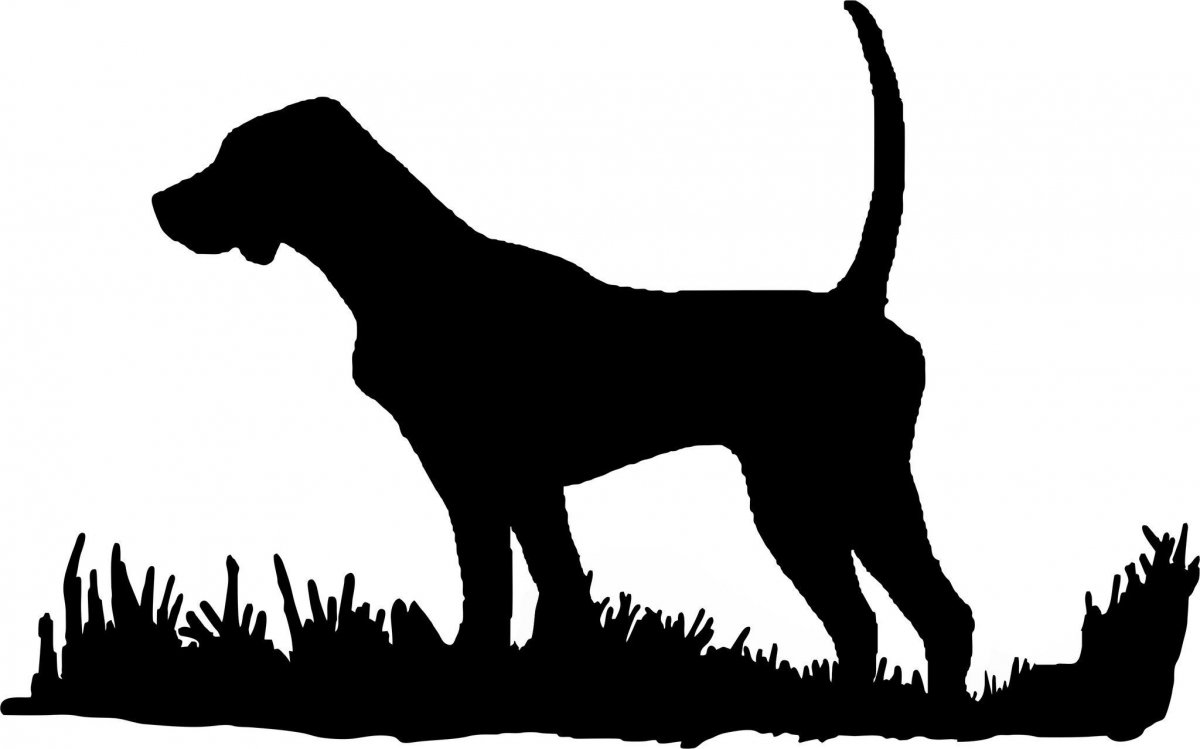 Силуэт охотника с ружьем