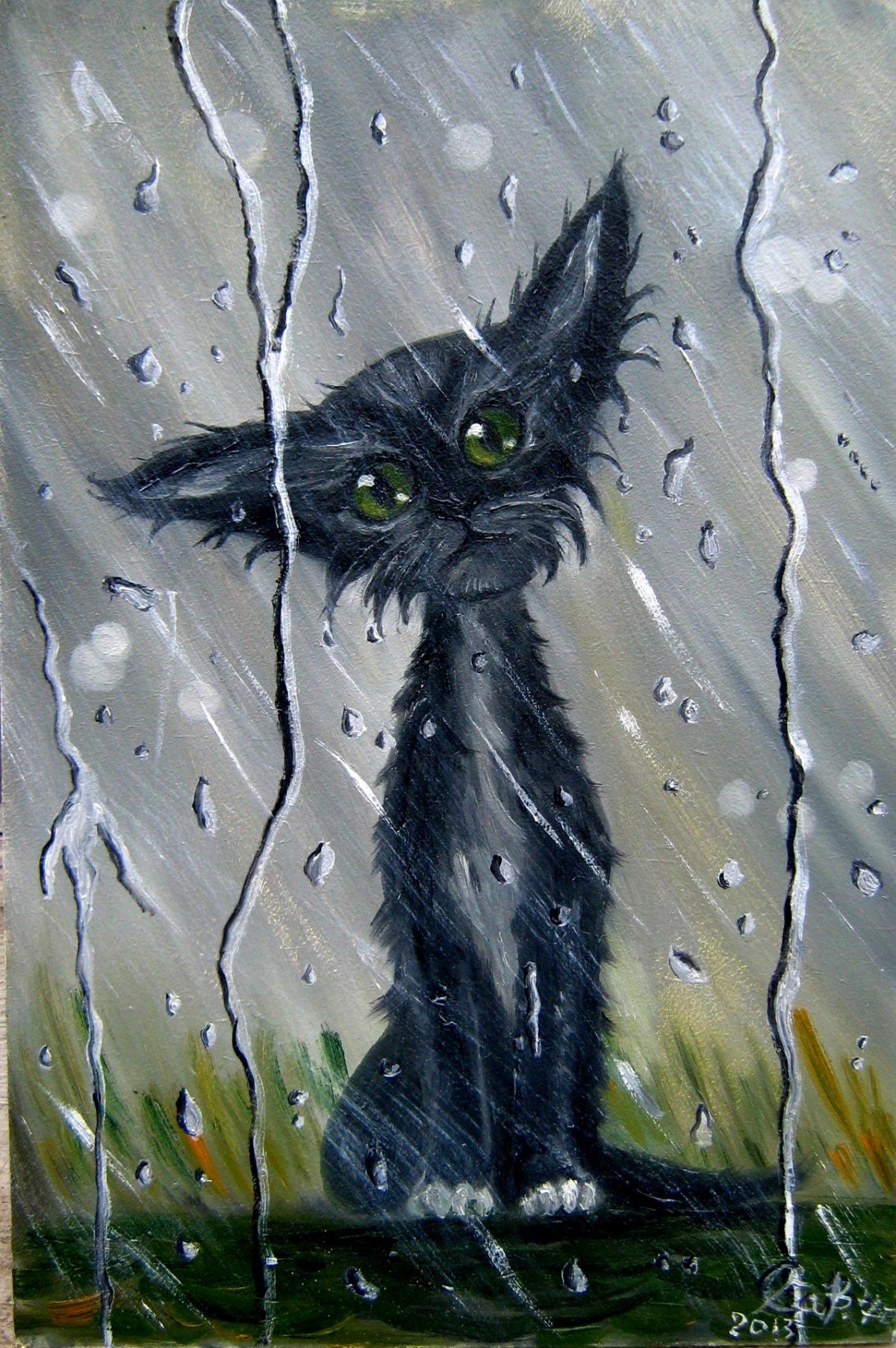 Промокший кот