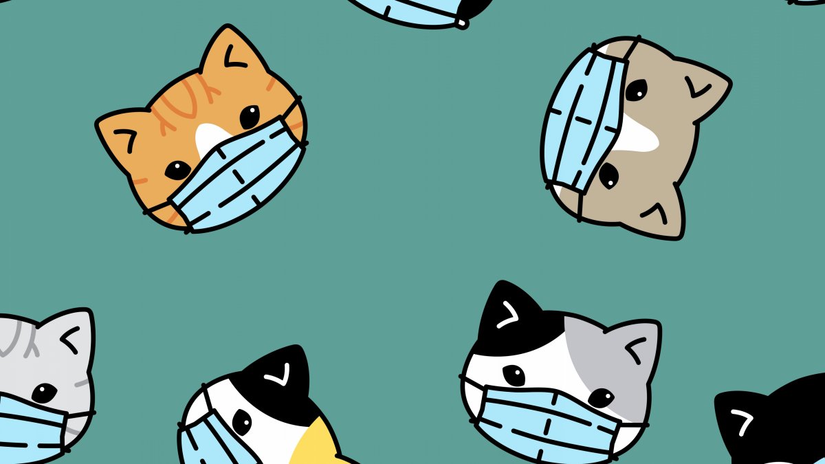 Рисунки на черном фоне