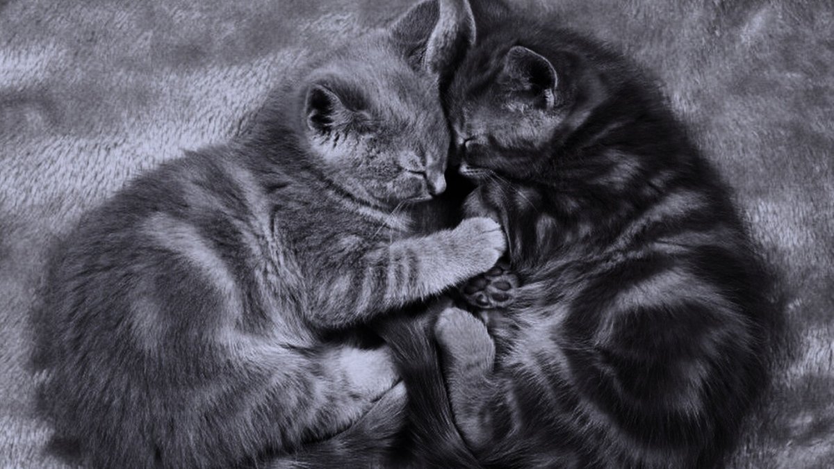 Милые картиночки