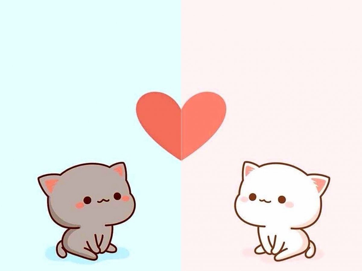 Парные обои с котиками