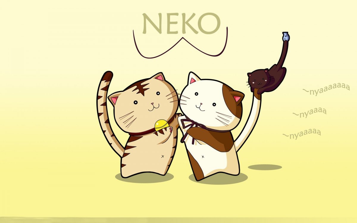 Живые обои кошки