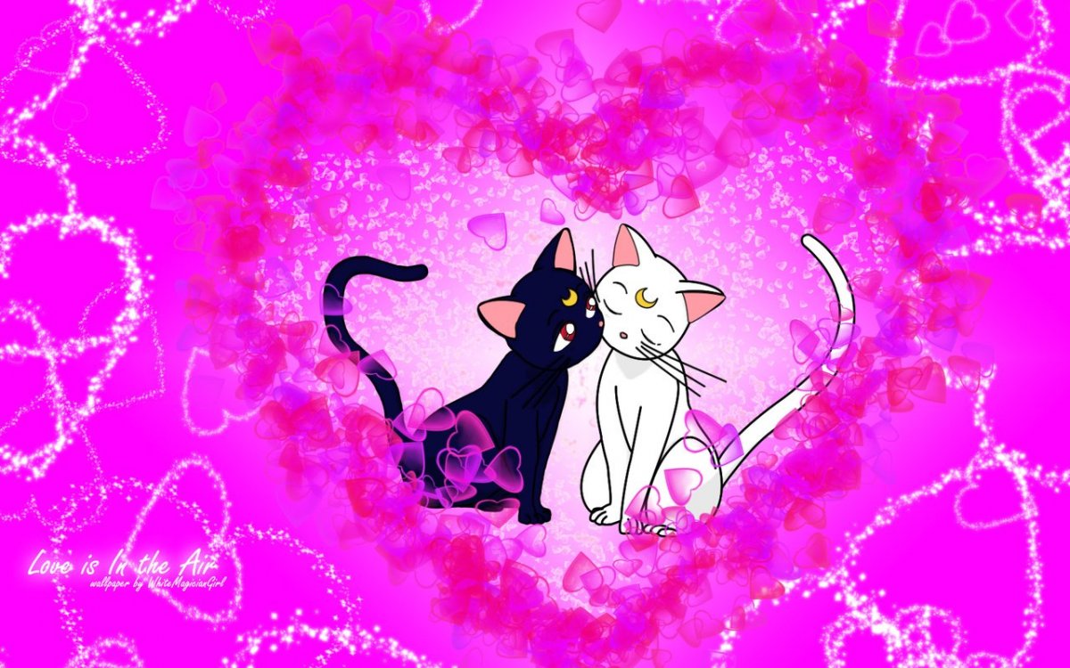 Няшные котята