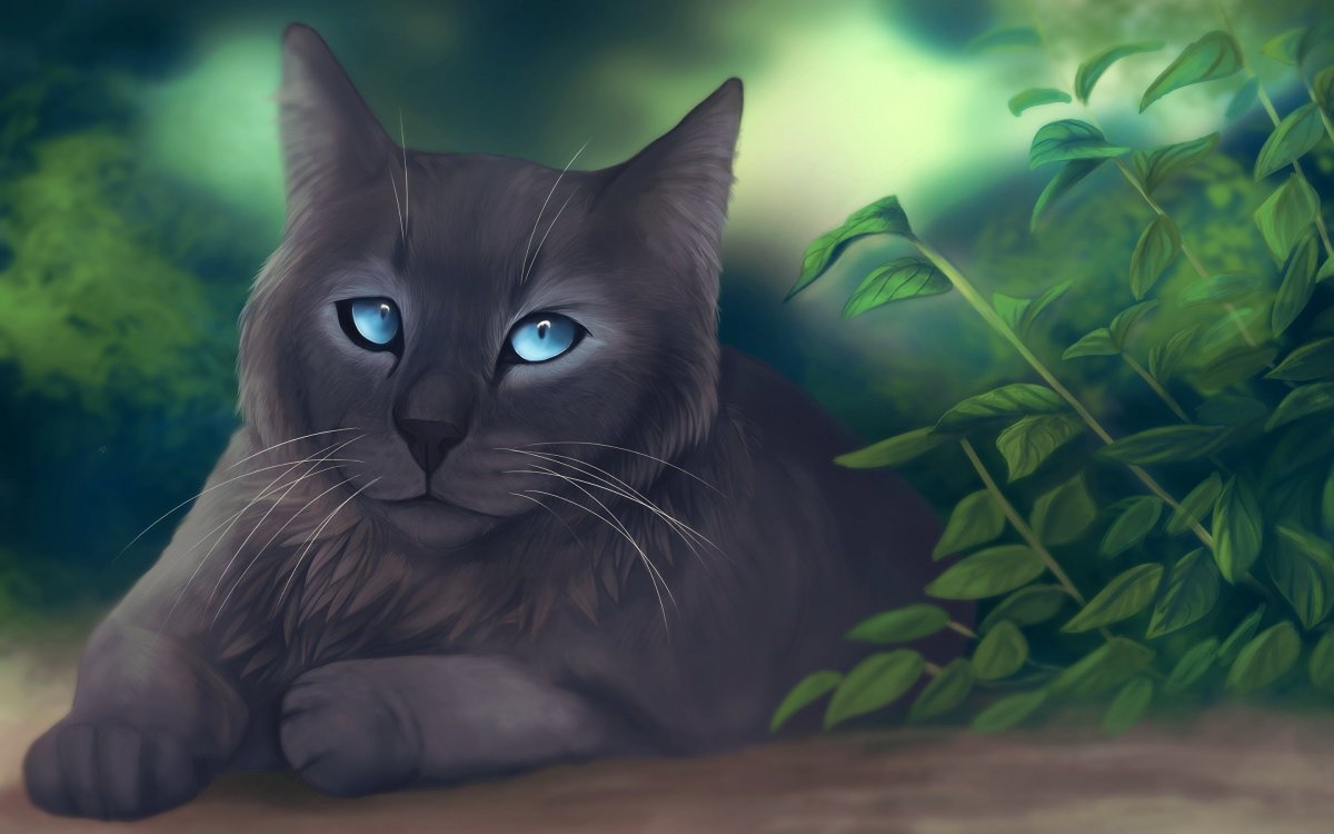 Сиамская кошка чистокровная