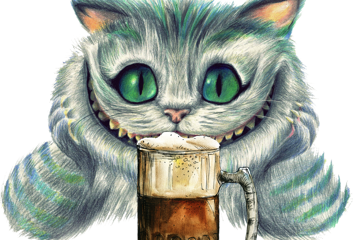 Коты с пивом