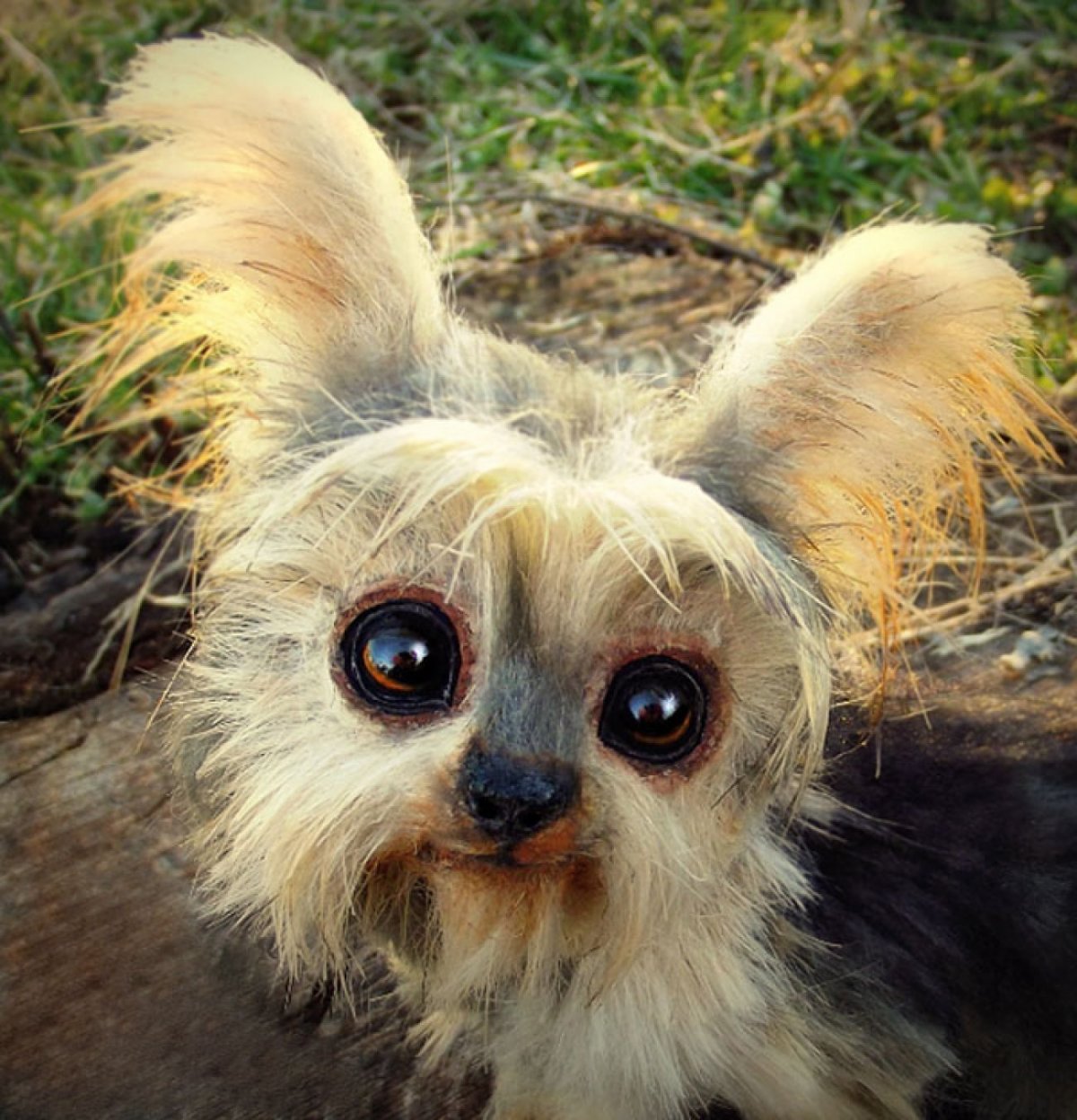 Гигантские морские существа