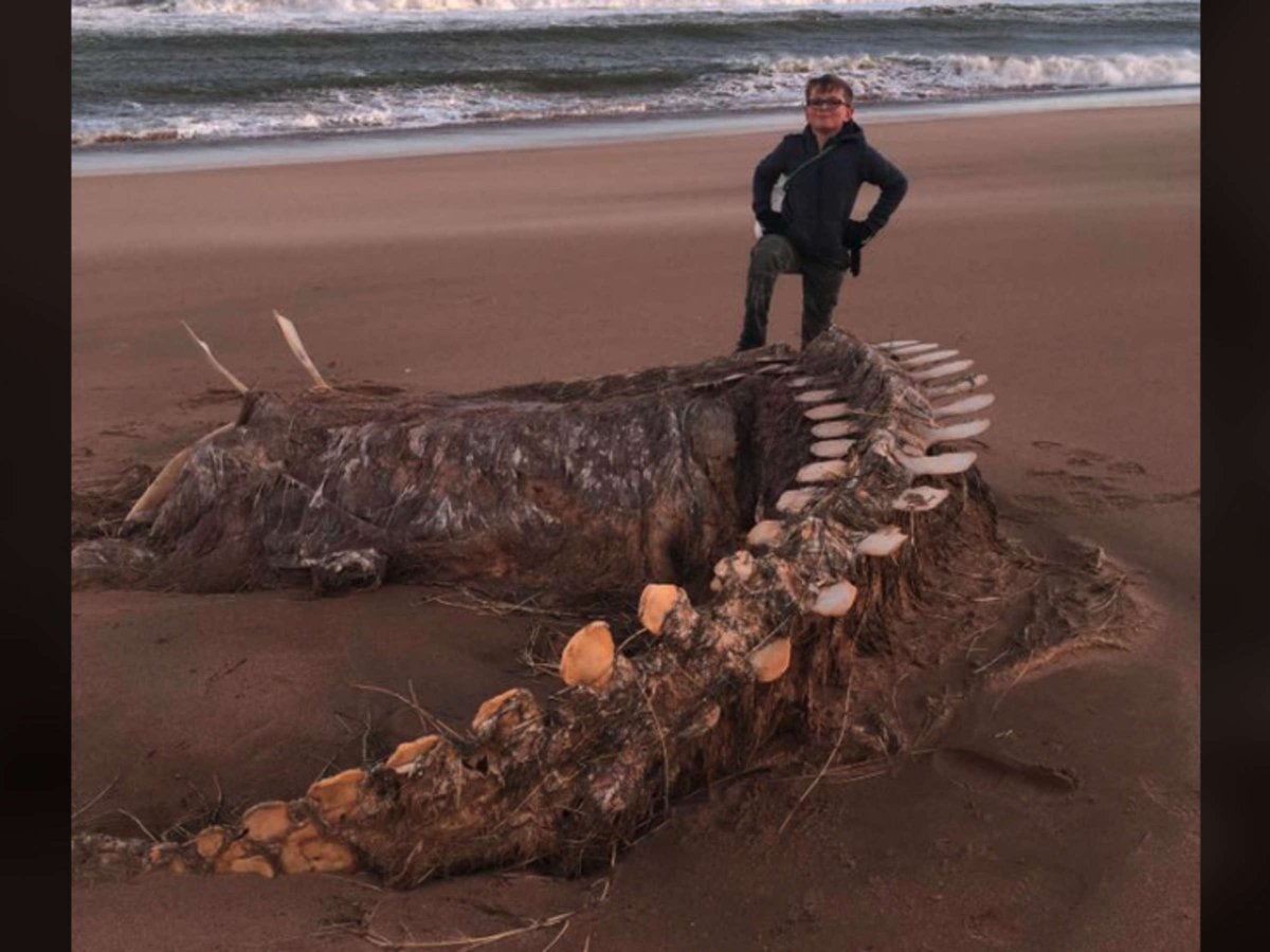 Рыболов из Мурманска Роман Федорцов