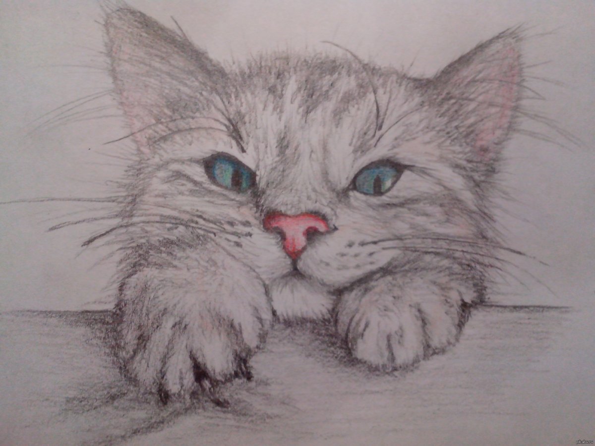 Красивые рисунки