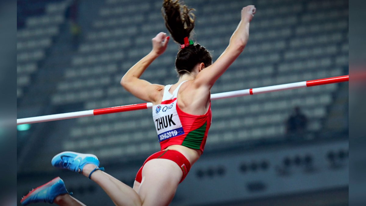 Жук коричневый хрущ