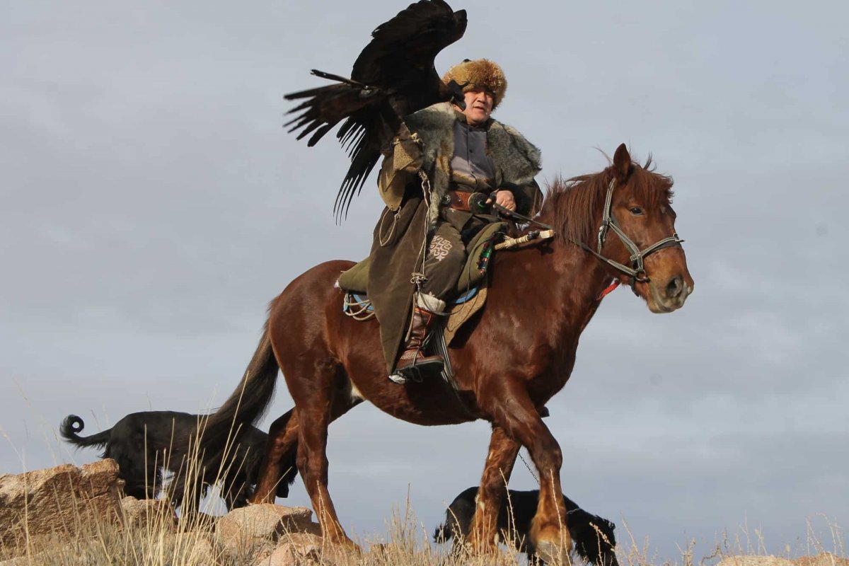 Фото батыра на коне