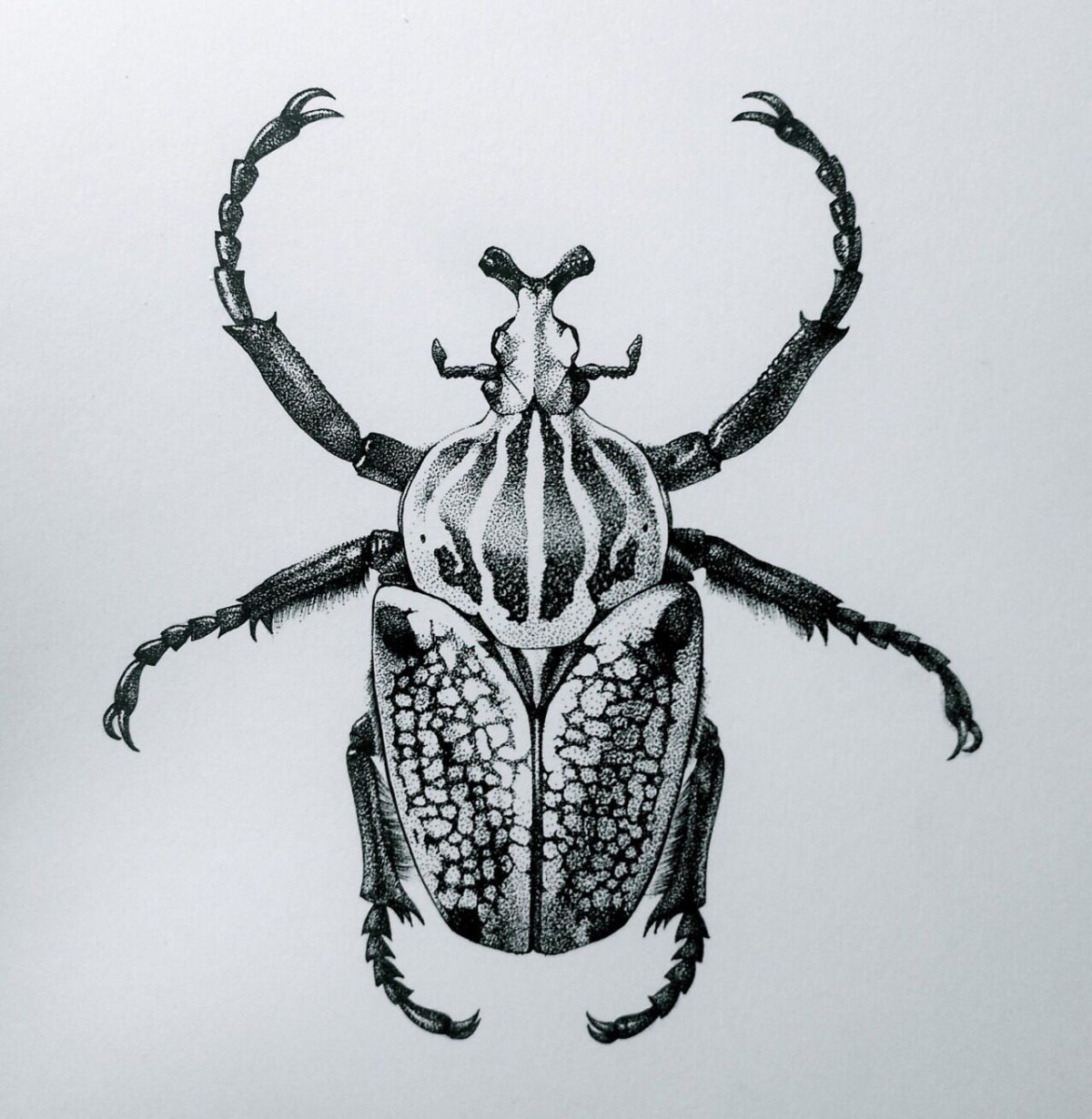 Жук скарабей арт