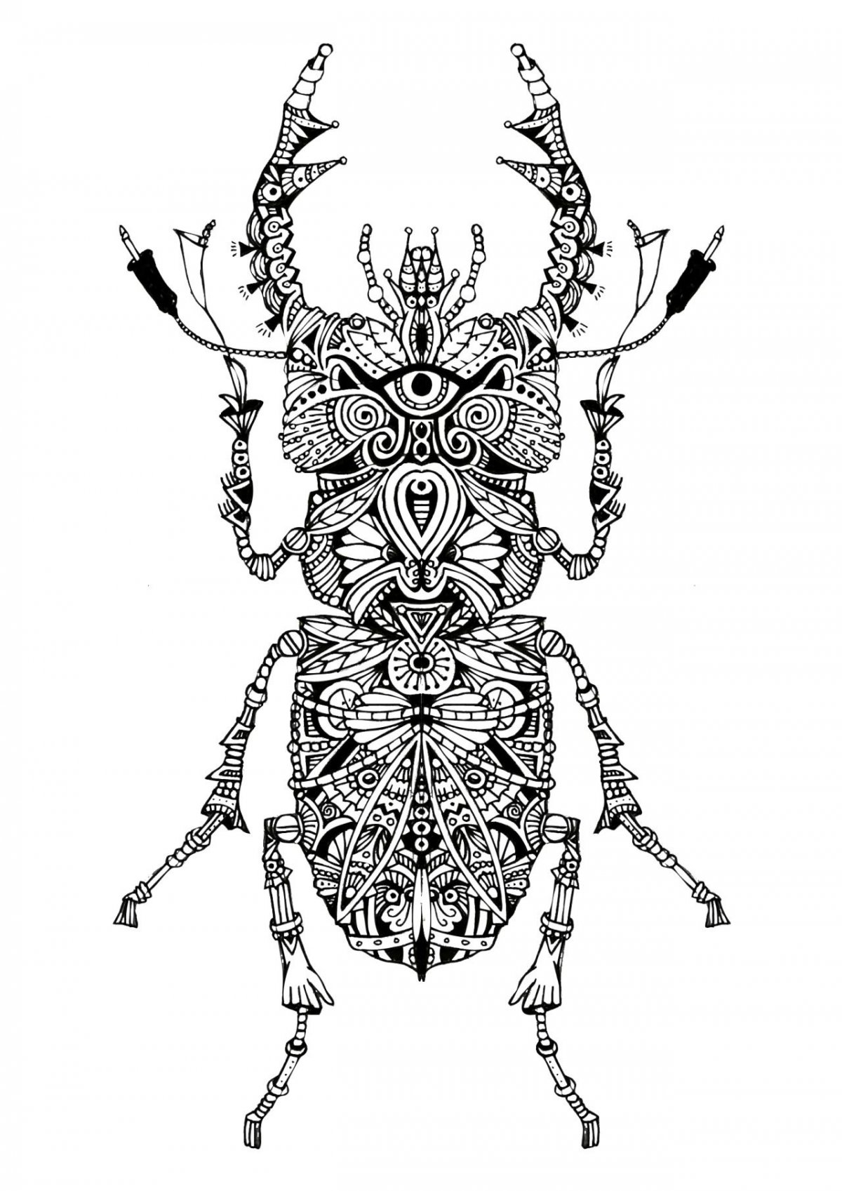 Орнамент насекомые