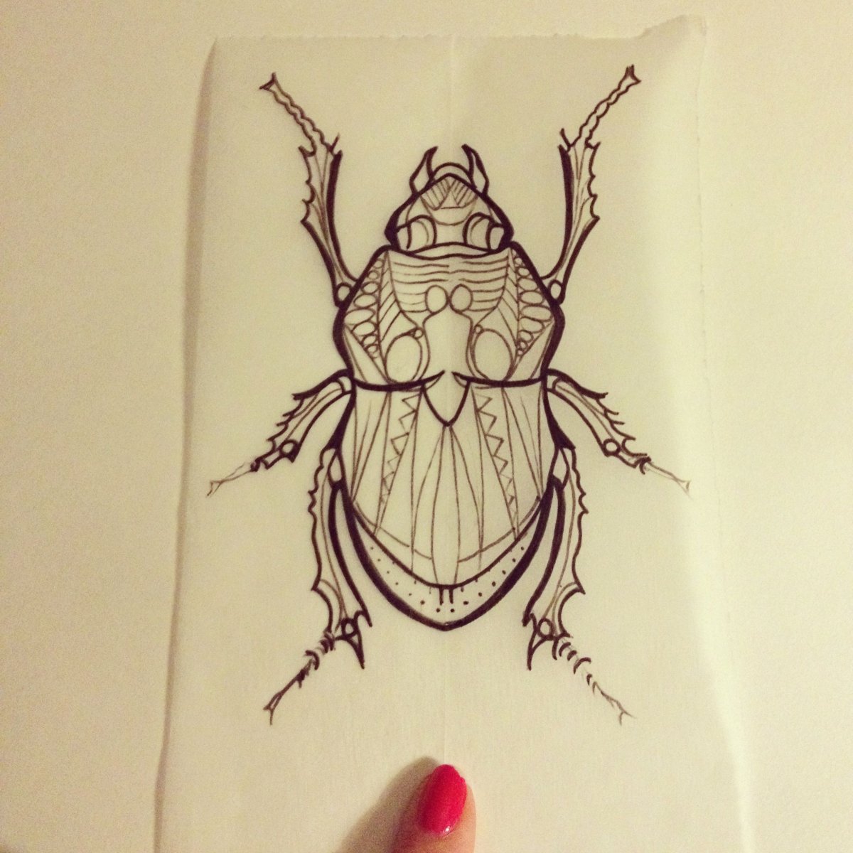 Жук усач полосатый