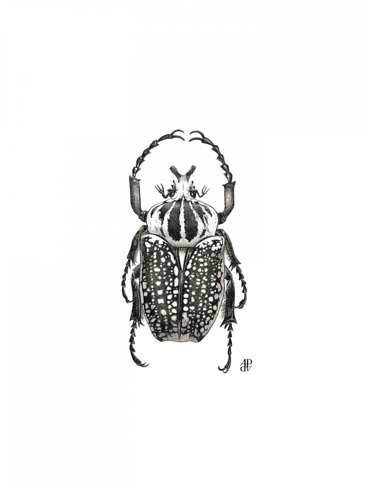 Насекомые вышитые гладью