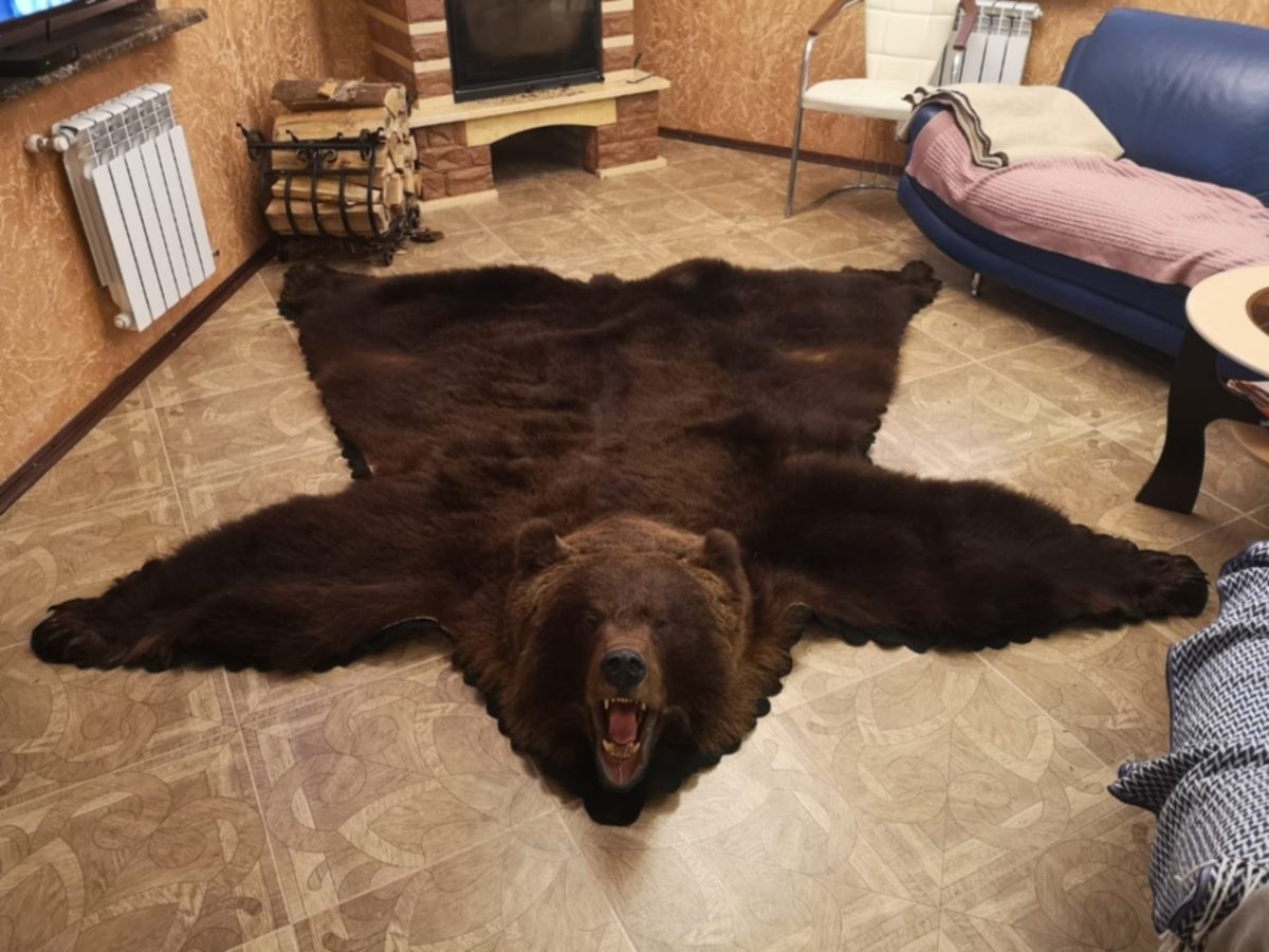 Коврик из медведя
