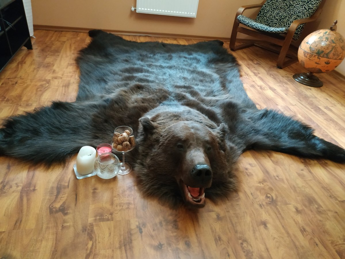 Ковер шкура медведя