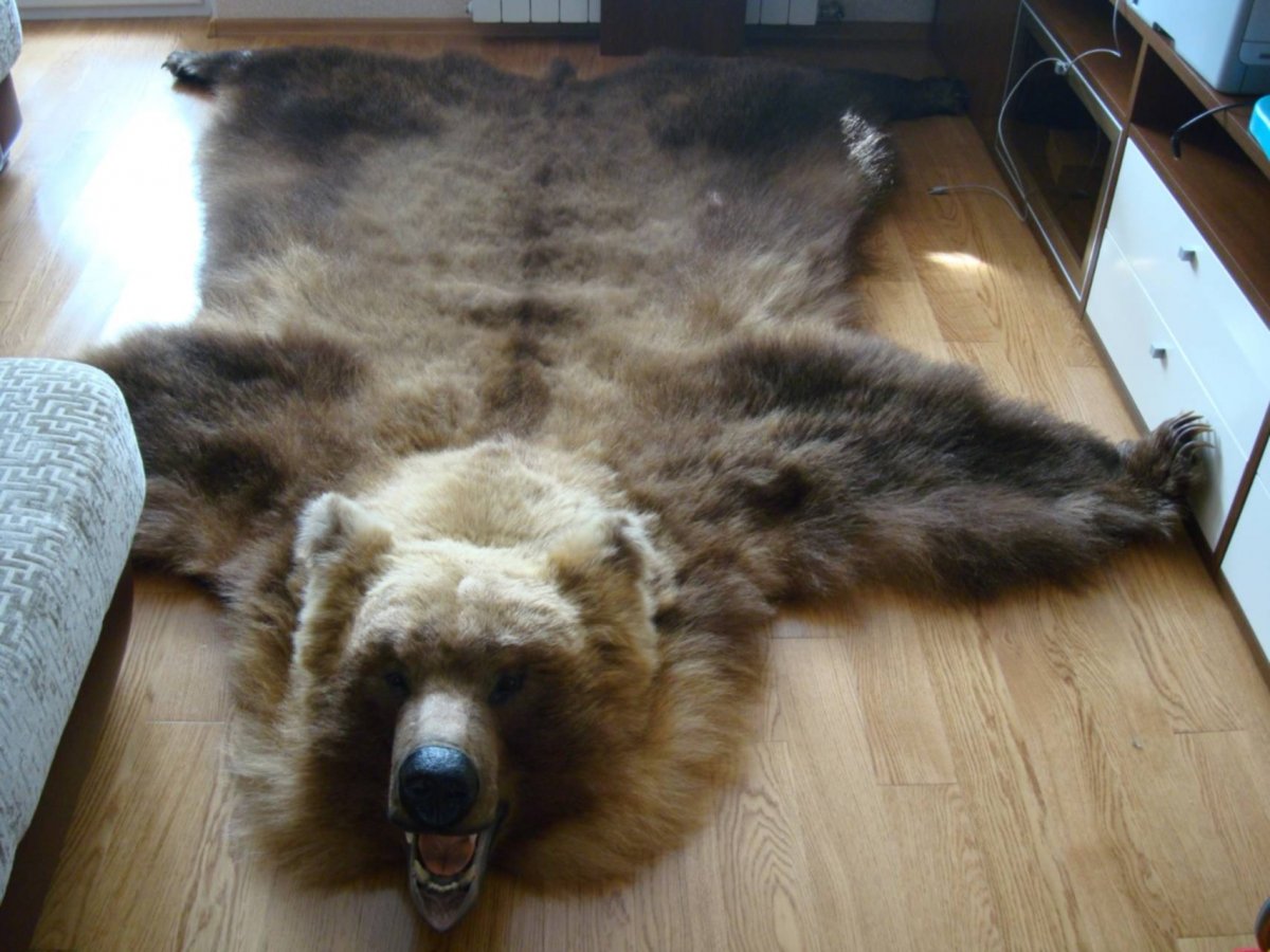 Охотничьи ковры из шкуры медведя