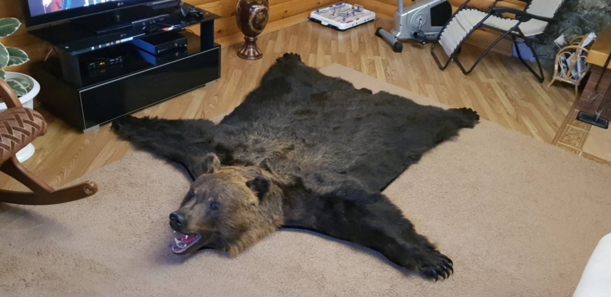 Arloni коврик лиса